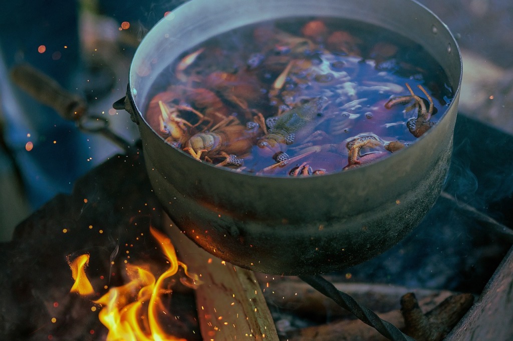Homebrew: a witchlike brew cooking in a pot above a flame.