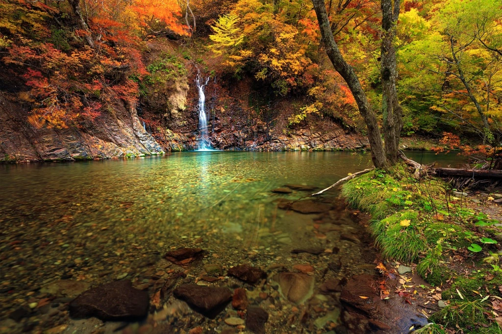A wide shallow stream in an autumn forest, with a small waterfall flowing in