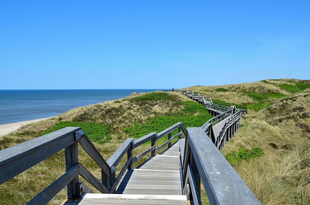 A wooden boardwalk over a coastal prairie, with a figure visible in the distance